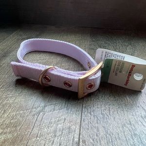 Lilac Medium Dog Collar NWT